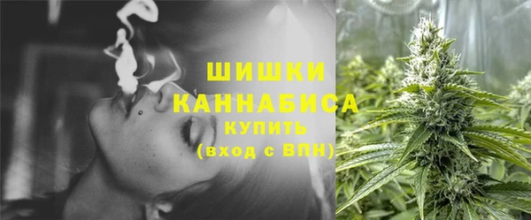 не бодяженный Осташков