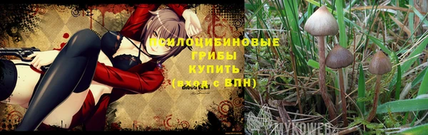 метадон Осинники